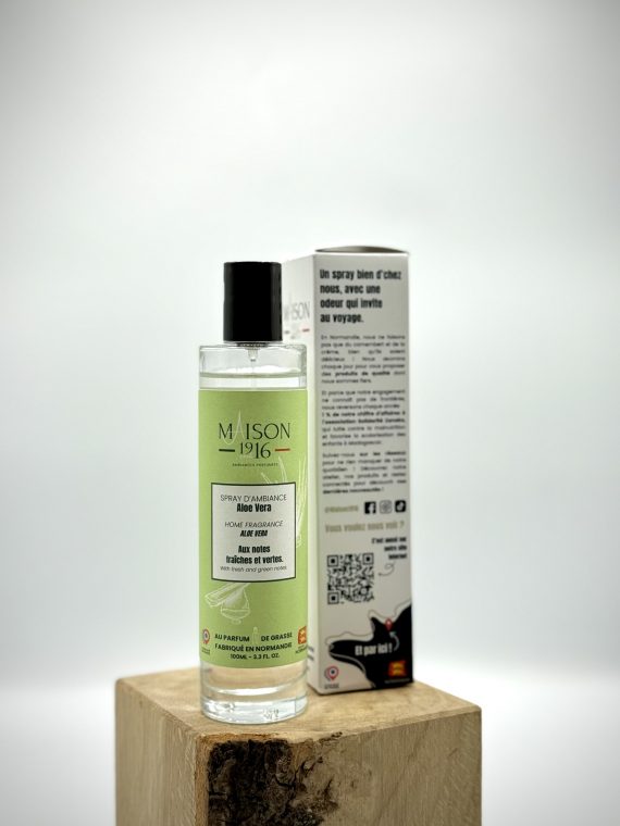 Spray d'Ambiance 100mL - Aloe Vera